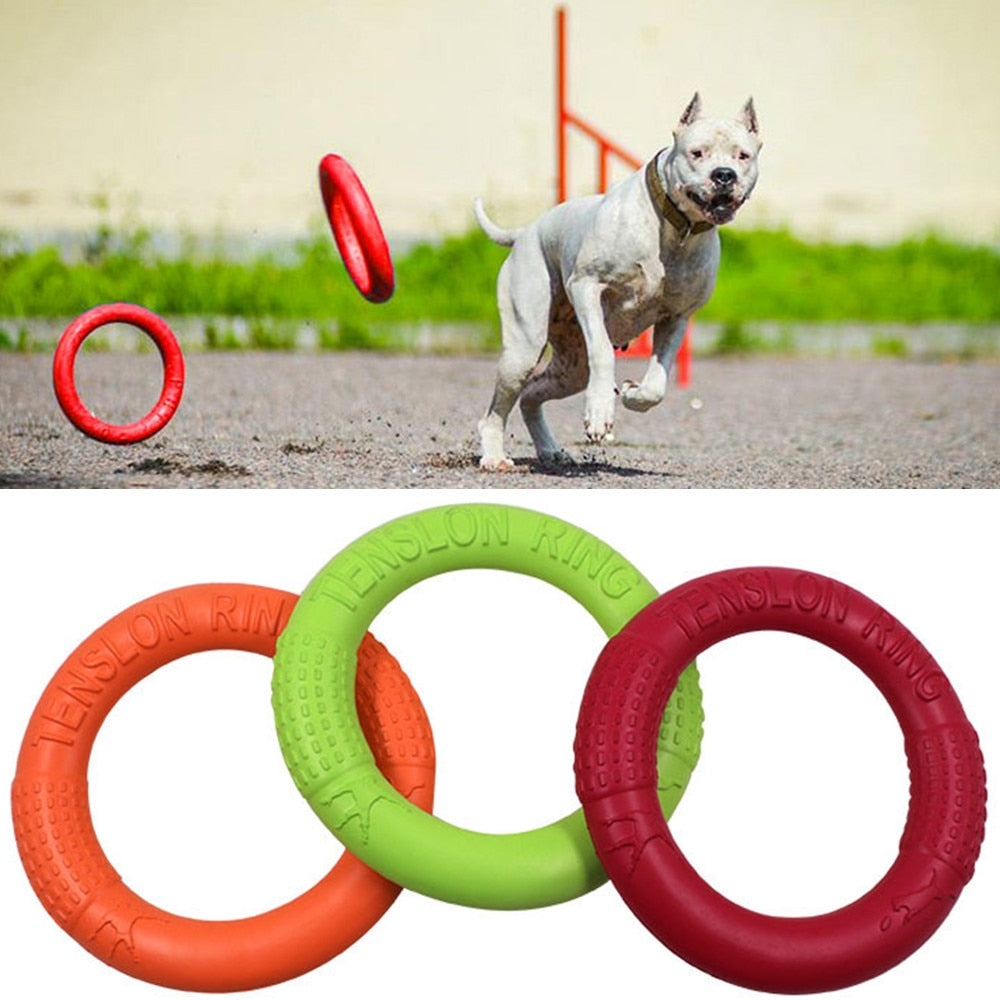 Interactive Training Dog Toy