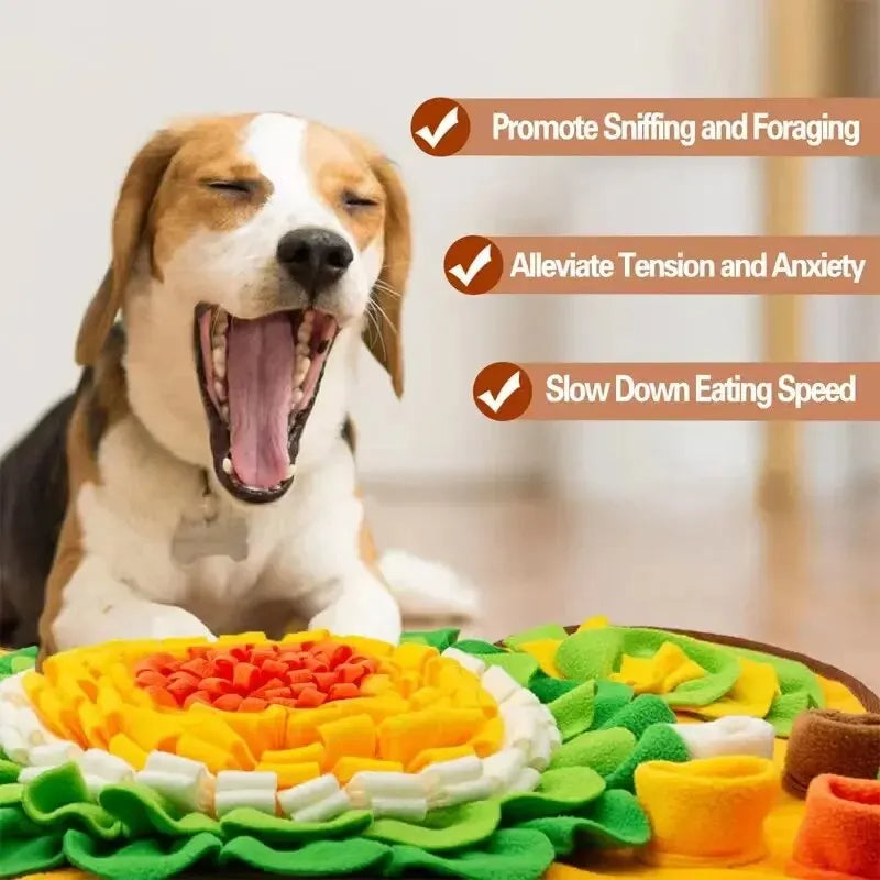 Snuffle Feeding Mat for Dogs