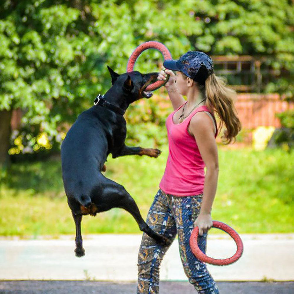 Interactive Training Dog Toy