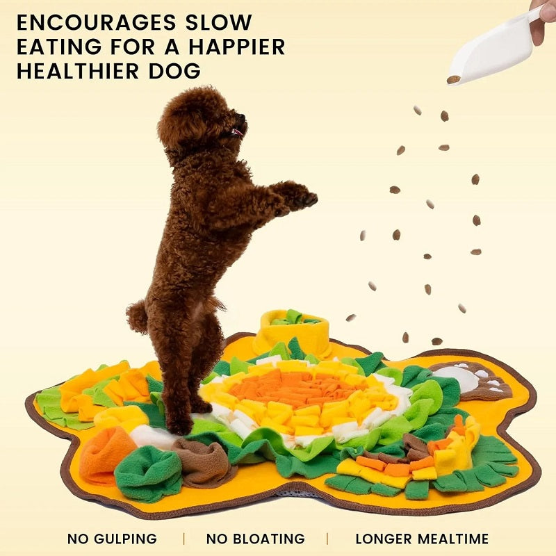 Snuffle Feeding Mat for Dogs