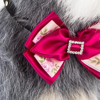 Hot Pink Diamond Pet Bow Tie