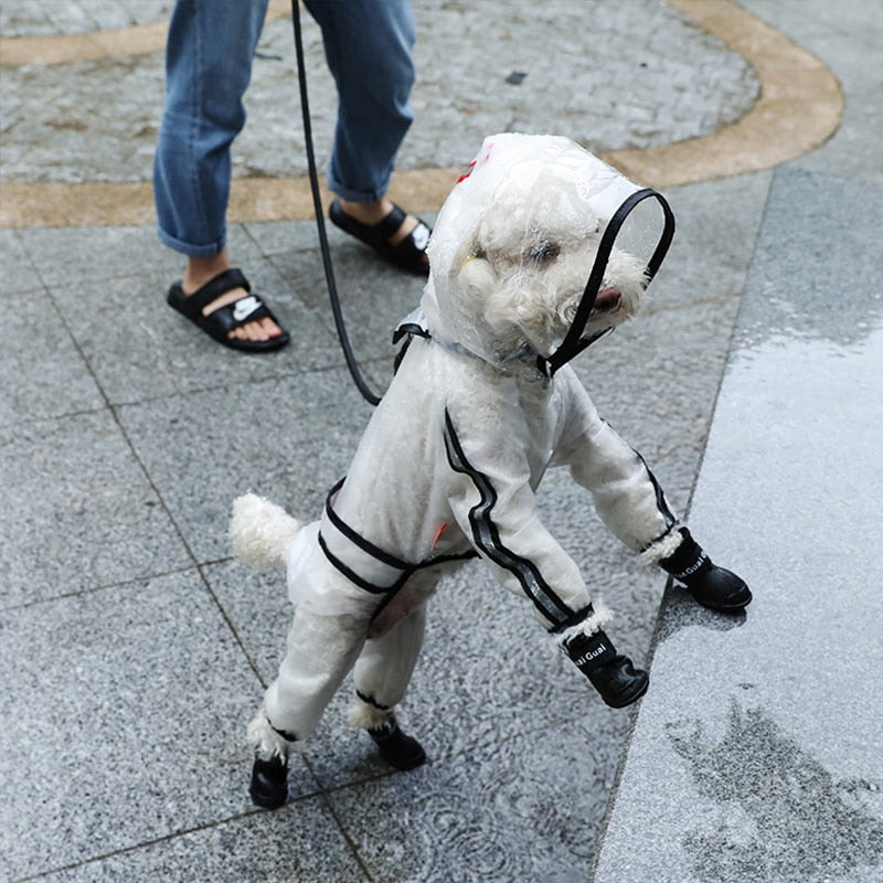 Dog Raincoat