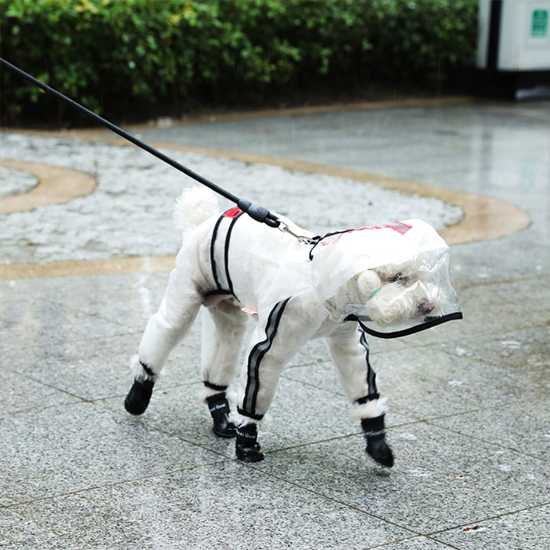 Dog Raincoat