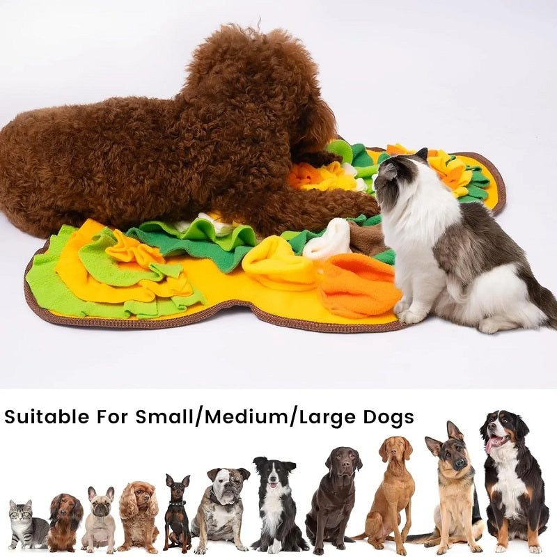 Snuffle Feeding Mat for Dogs