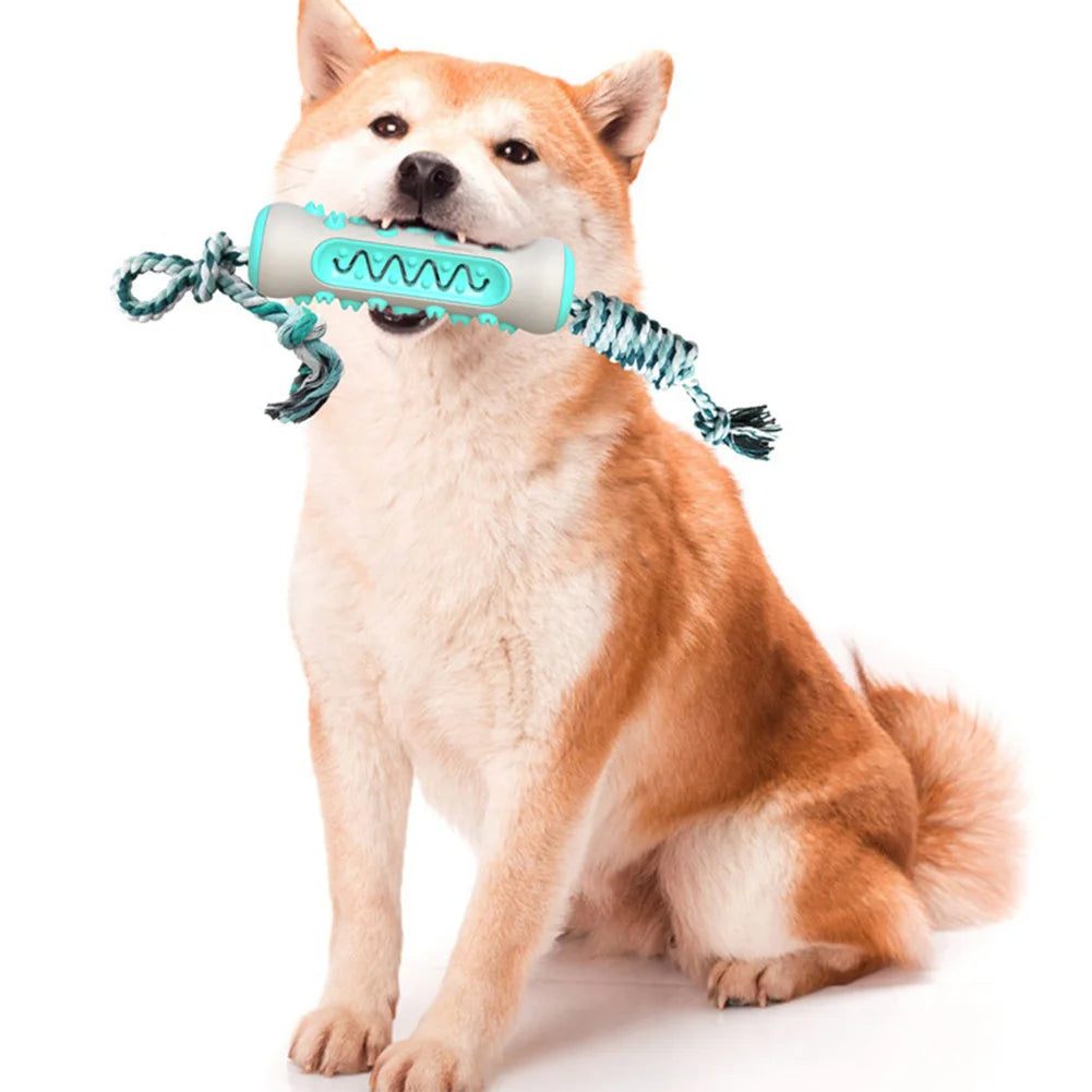 Pet Chew Toy For Better Molars