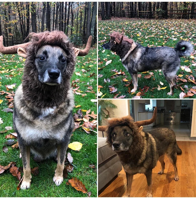 Dog Bull Mane Costume