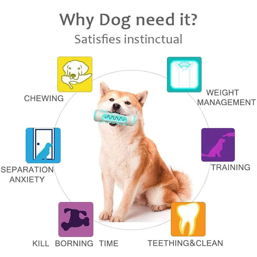 Pet Chew Toy For Better Molars