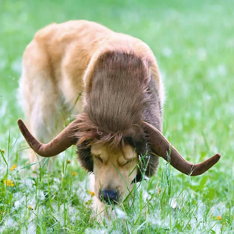 Dog Bull Mane Costume