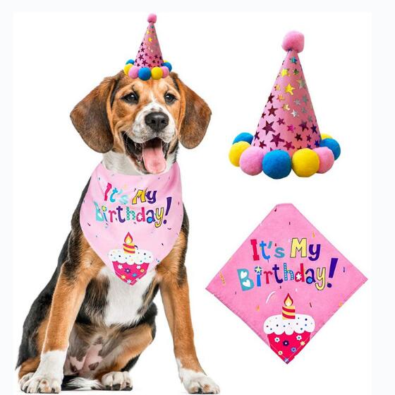 Pet Birthday costume