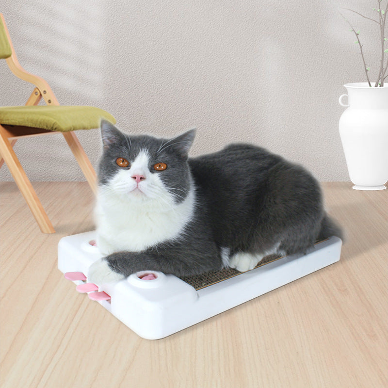 Cat Scratching Board