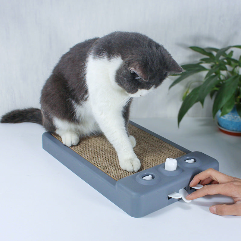 Cat Scratching Board