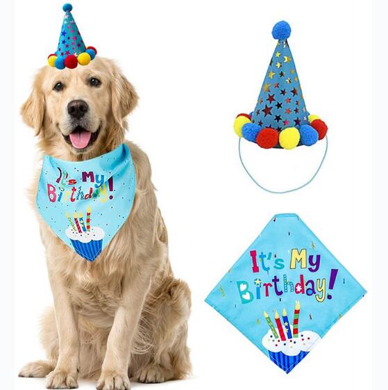 Pet Birthday costume