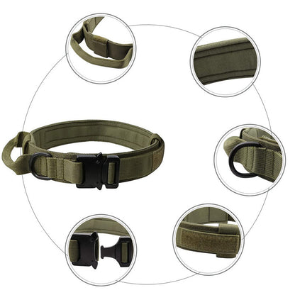 Large and Medium Adjustable Pet Collar/Outdoor Dog Leash