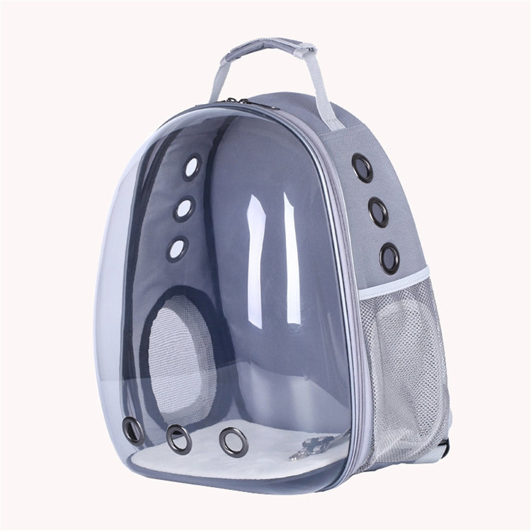 Transparent shell pet bag