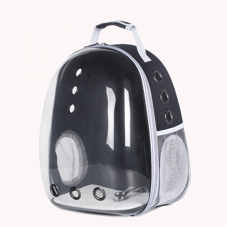 Transparent shell pet bag