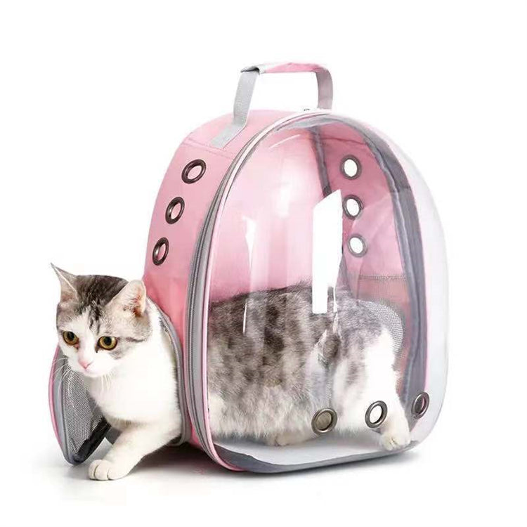 Transparent shell pet bag