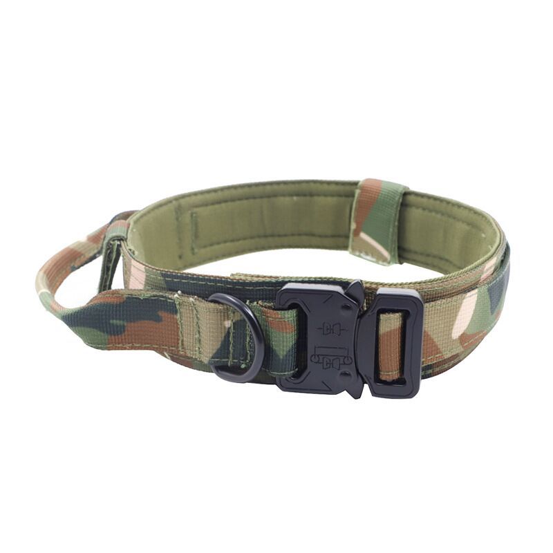 Large and Medium Adjustable Pet Collar/Outdoor Dog Leash