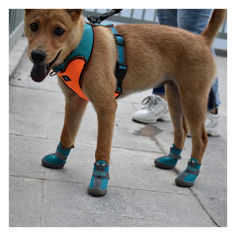 Breathable Pet Shoes