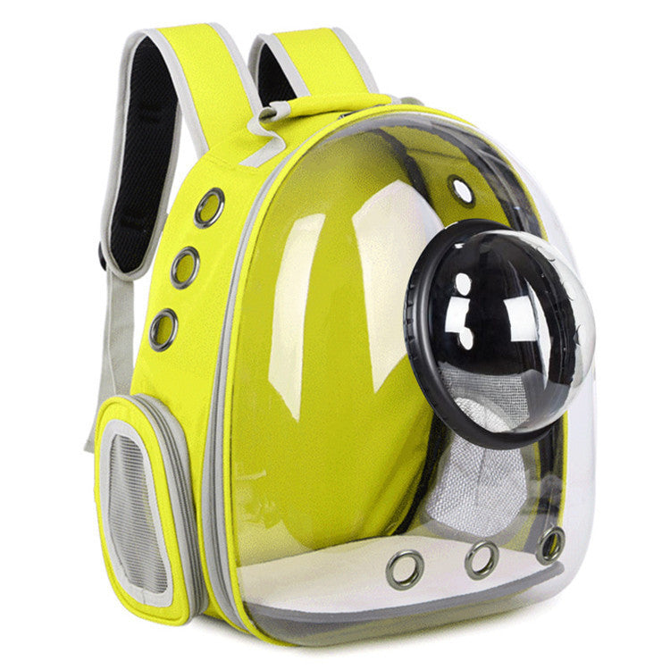 Transparent shell pet bag