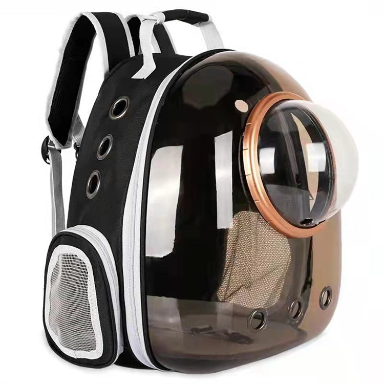 Transparent shell pet bag