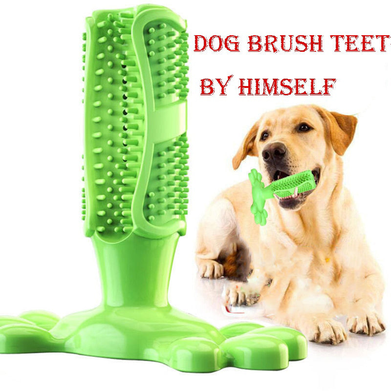 Dog Toy Toothbrush