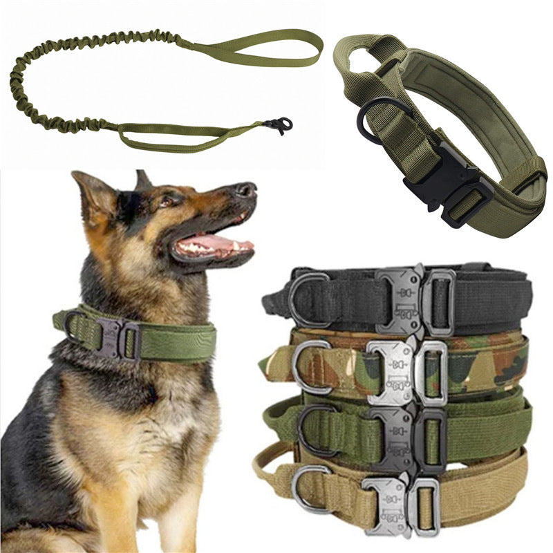 Large and Medium Adjustable Pet Collar/Outdoor Dog Leash