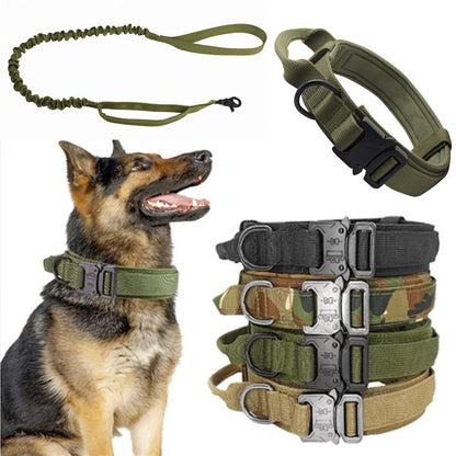 Large and Medium Adjustable Pet Collar/Outdoor Dog Leash