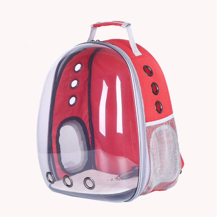 Transparent shell pet bag