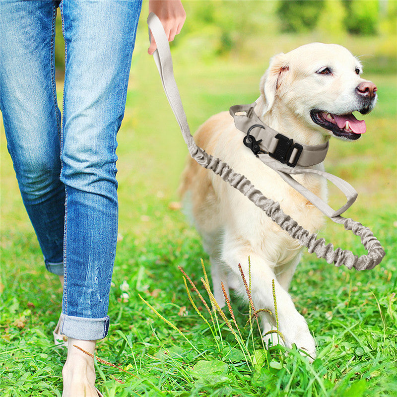 Large and Medium Adjustable Pet Collar/Outdoor Dog Leash