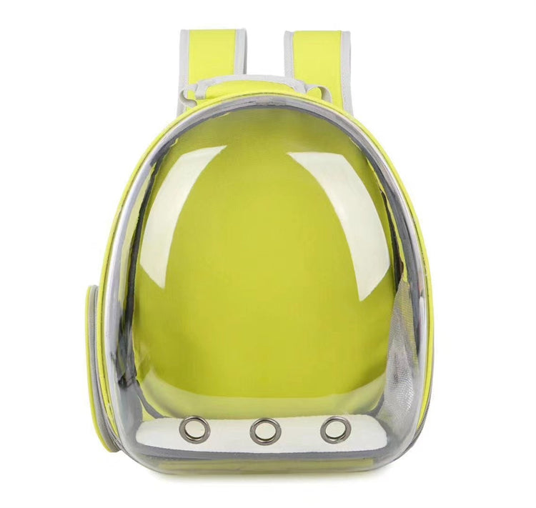 Transparent shell pet bag