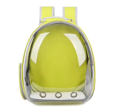Transparent shell pet bag