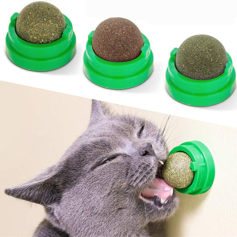 Rotatable Catnip Ball