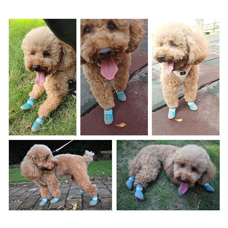 Breathable Pet Shoes