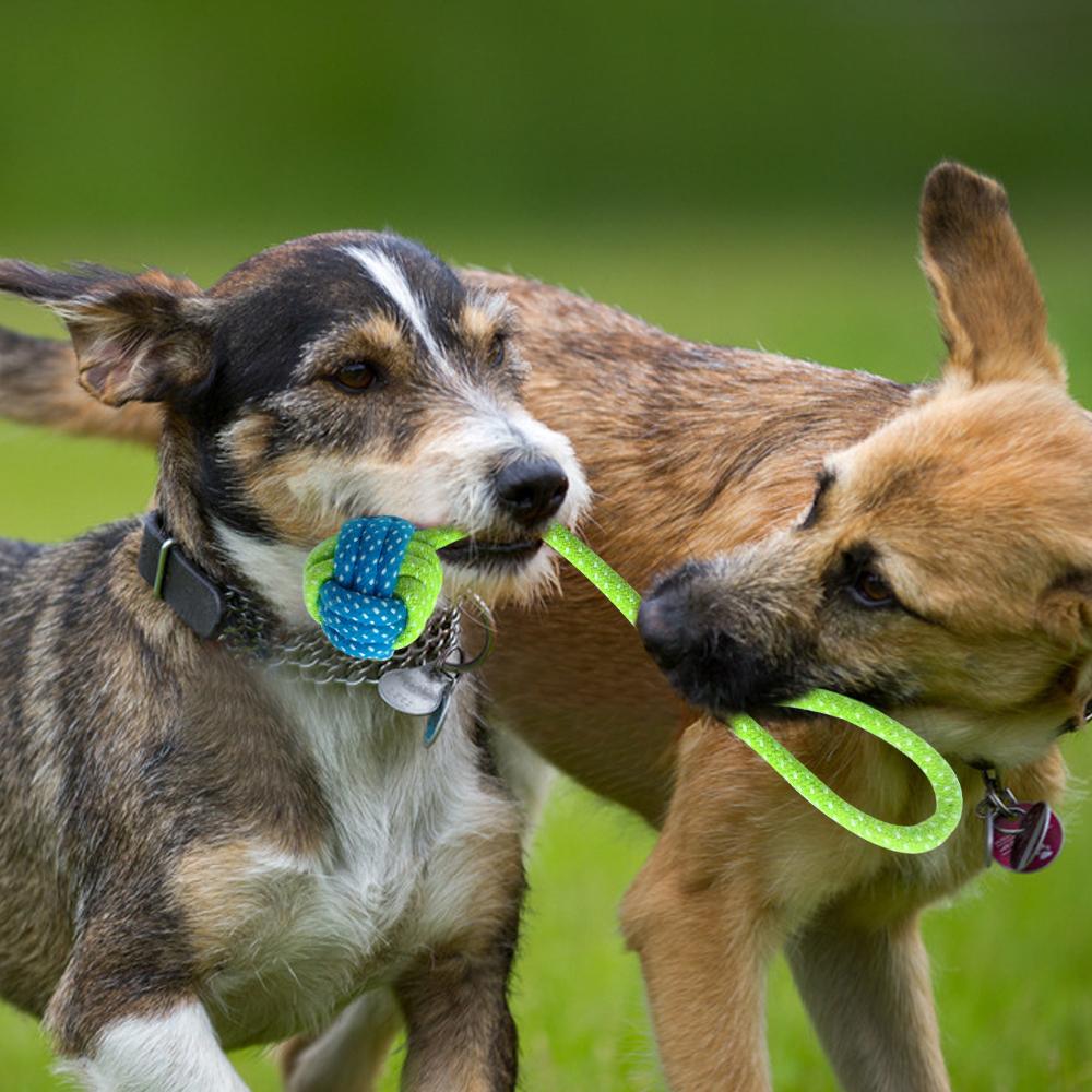 Multi-functional Dog rope chewing toy