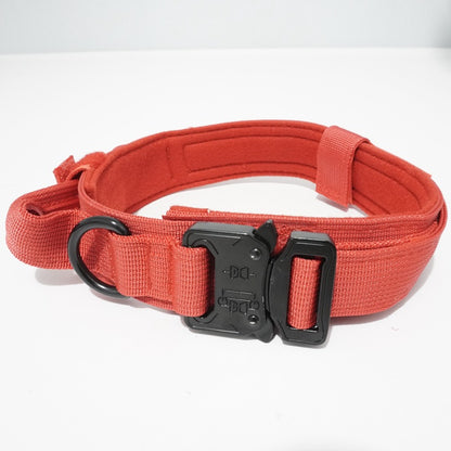 Large and Medium Adjustable Pet Collar/Outdoor Dog Leash
