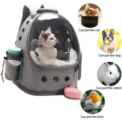 Transparent Breathable Pet Backpack