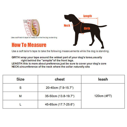 Dog & Cat Harness and Leash Set