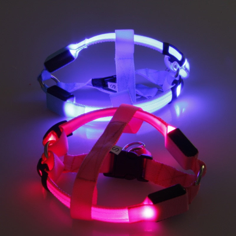 Nylon Pet Safety LED Harness For Dogs