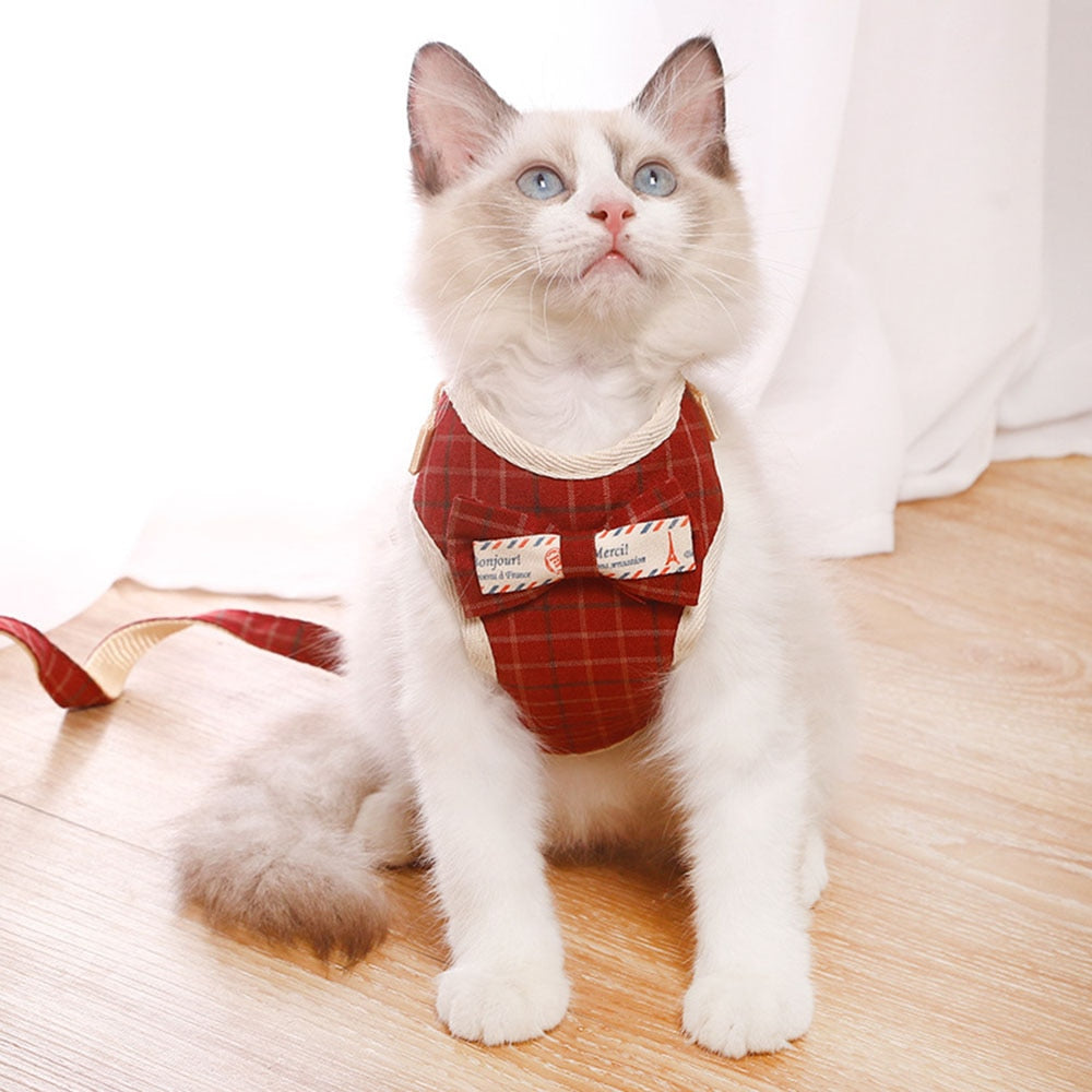 Dog & Cat Harness and Leash Set