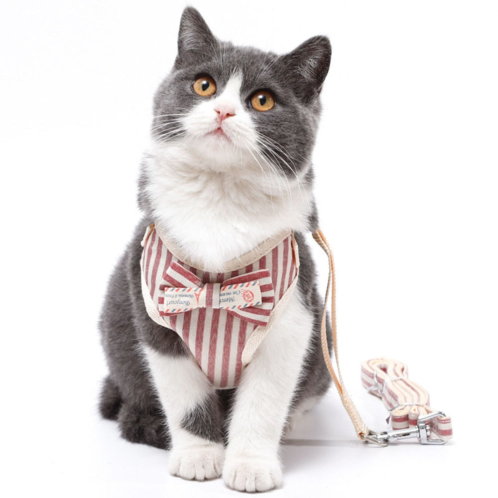 Dog & Cat Harness and Leash Set