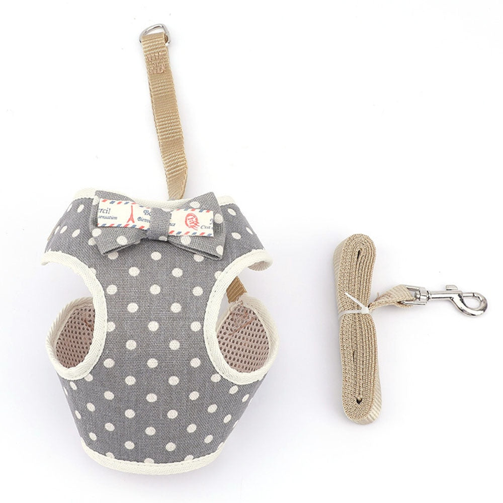 Dog & Cat Harness and Leash Set