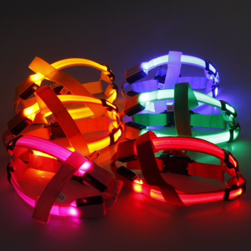 Nylon Pet Safety LED Harness For Dogs