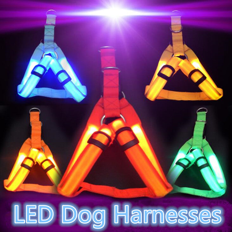 Nylon Pet Safety LED Harness For Dogs