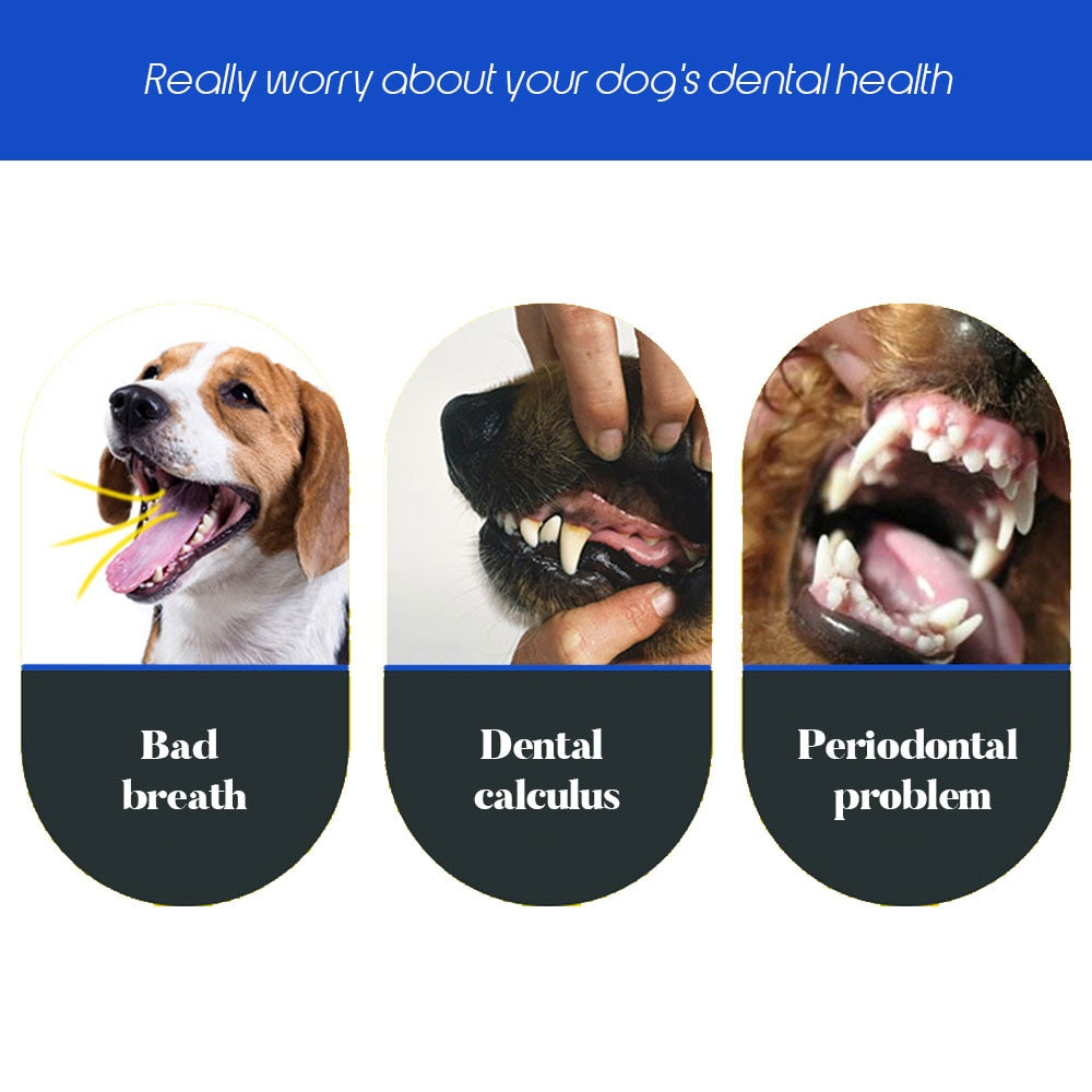 Dog and Cat Soft Toothbrush