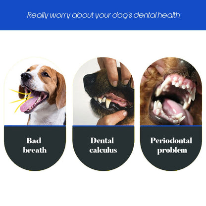 Dog and Cat Soft Toothbrush