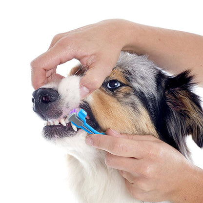 Dog and Cat Soft Toothbrush